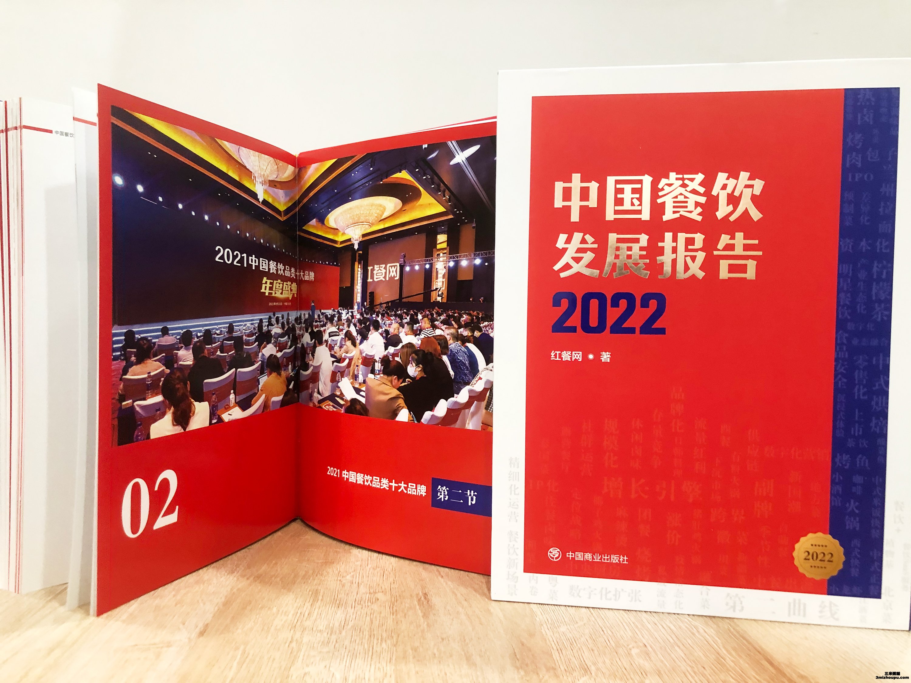 2022中国餐饮发展报告 (1)